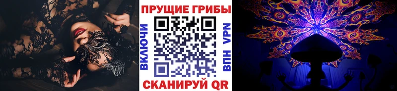 Галлюциногенные грибы Cubensis Гвардейск